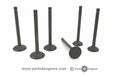 Perkins M25 cylinder head valve set