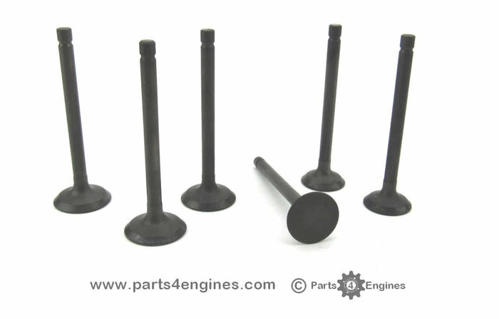 Perkins M25 cylinder head valve set