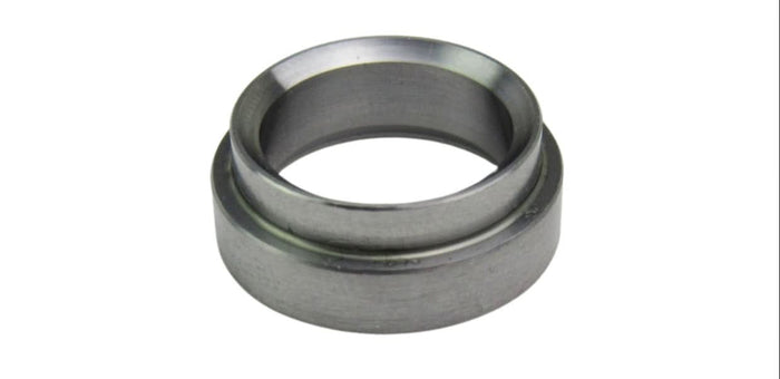 Fuel injector insert
