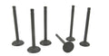 Perkins M30 cylinder head valve set