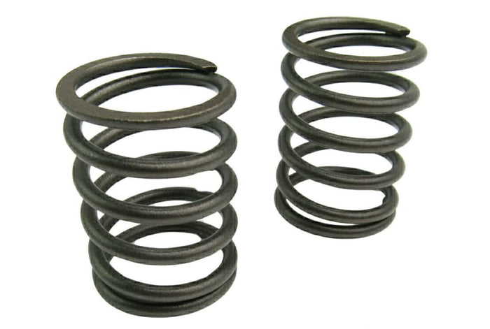 Volvo Penta 2000 series valve springs (pair)