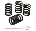 Volvo Penta D1-13 valve spring set