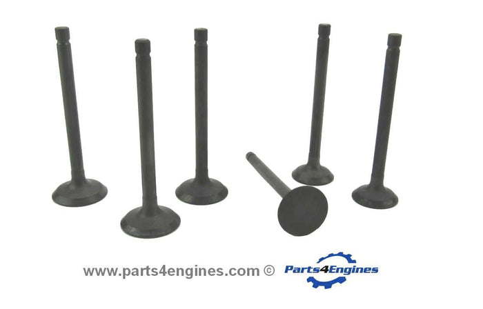 Volvo Penta D1-30 cylinder head valve set