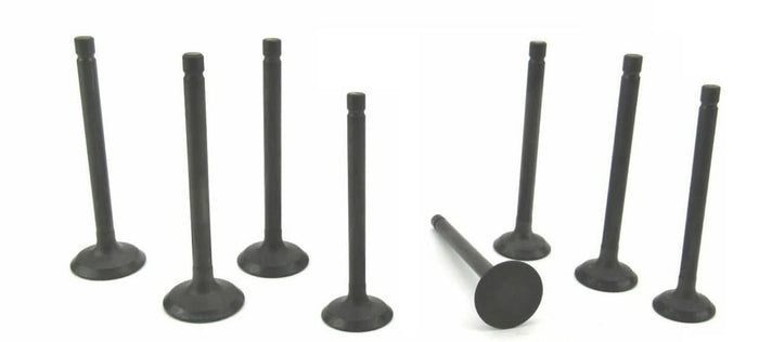 Volvo Penta D2-40 cylinder head valve set