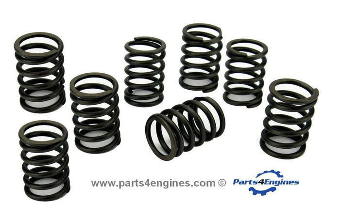 Volvo Penta D2-40 valve spring set