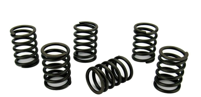 Volvo Penta MD2020 valve spring set