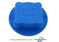 Volvo Penta TMD22 pressure cap