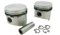 Yanmar 2GM20 piston with rings