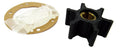 Yanmar 2GM20F raw water pump, impeller, service & rebuild kit