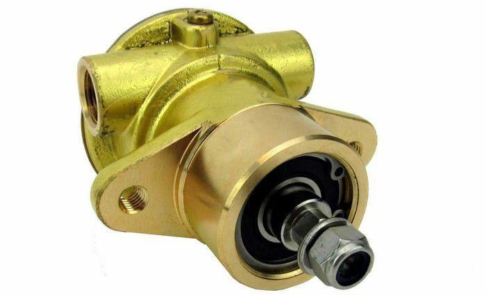 Raw water pump